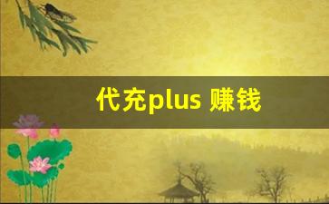 代充plus 赚钱